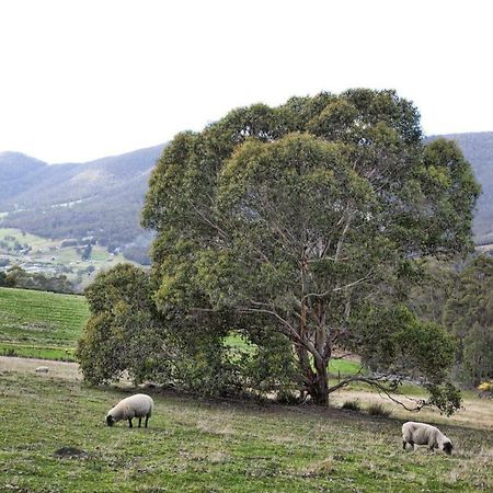 House On The Hill Bed And Breakfast Huonville Εξωτερικό φωτογραφία