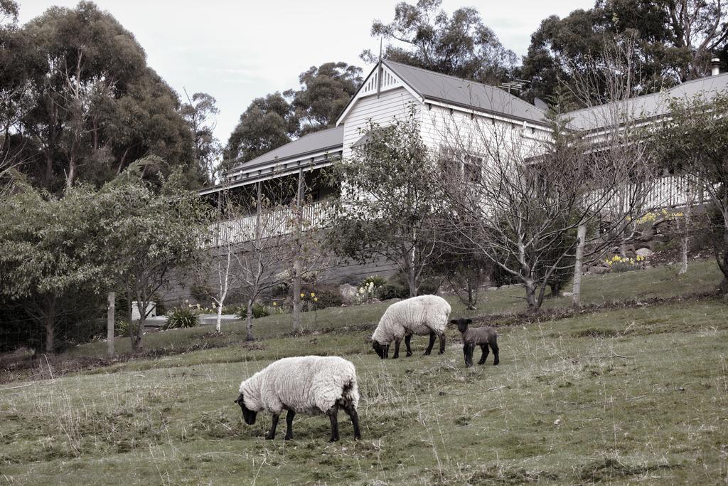 House On The Hill Bed And Breakfast Huonville Εξωτερικό φωτογραφία
