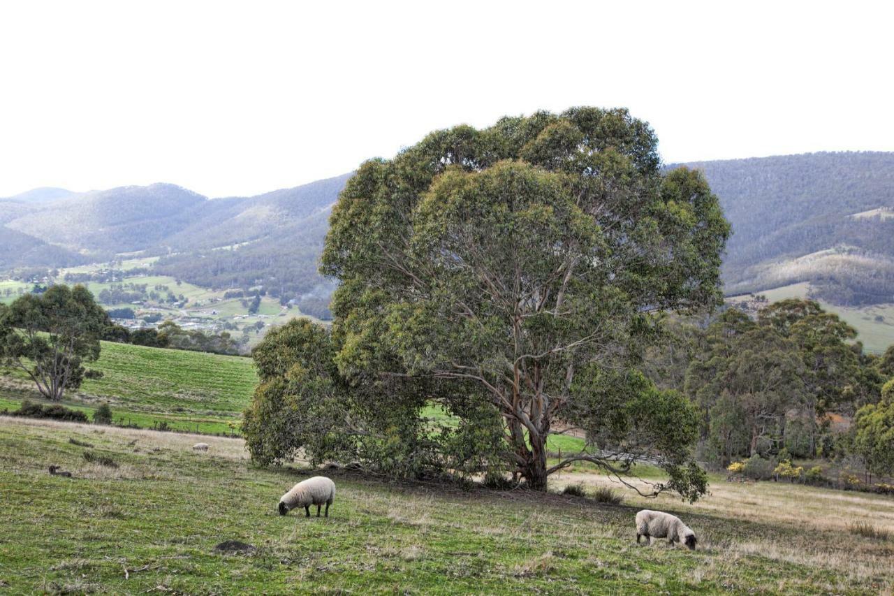 House On The Hill Bed And Breakfast Huonville Εξωτερικό φωτογραφία